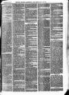 Bexley Heath and Bexley Observer Saturday 16 October 1875 Page 3