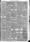 Bexley Heath and Bexley Observer Saturday 30 October 1875 Page 5