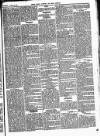 Bexley Heath and Bexley Observer Saturday 18 March 1876 Page 5