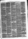 Bexley Heath and Bexley Observer Saturday 18 March 1876 Page 7