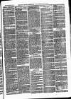 Bexley Heath and Bexley Observer Saturday 25 March 1876 Page 7