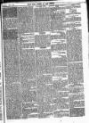 Bexley Heath and Bexley Observer Saturday 08 April 1876 Page 5
