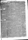 Bexley Heath and Bexley Observer Saturday 15 April 1876 Page 5