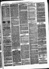Bexley Heath and Bexley Observer Saturday 17 June 1876 Page 7
