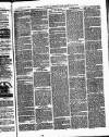 Bexley Heath and Bexley Observer Saturday 29 July 1876 Page 3