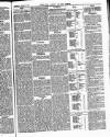 Bexley Heath and Bexley Observer Saturday 19 August 1876 Page 5