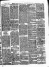 Bexley Heath and Bexley Observer Saturday 16 September 1876 Page 7