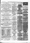 Bexley Heath and Bexley Observer Saturday 21 April 1877 Page 3