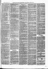 Bexley Heath and Bexley Observer Saturday 21 April 1877 Page 7