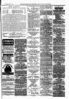 Bexley Heath and Bexley Observer Saturday 02 June 1877 Page 3