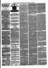 Bexley Heath and Bexley Observer Saturday 27 October 1877 Page 3