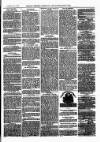 Bexley Heath and Bexley Observer Saturday 17 November 1877 Page 3