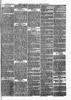 Bexley Heath and Bexley Observer Saturday 17 November 1877 Page 7