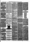 Bexley Heath and Bexley Observer Saturday 24 November 1877 Page 3