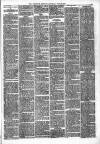 Yarmouth Mercury Saturday 21 June 1884 Page 3