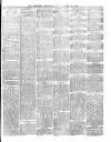 Mansfield Reporter Friday 28 March 1879 Page 3