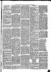 Exmouth Journal Saturday 28 August 1869 Page 3