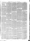 Exmouth Journal Saturday 06 November 1869 Page 5