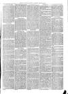 Exmouth Journal Saturday 08 January 1870 Page 3