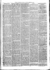 Exmouth Journal Saturday 05 February 1870 Page 7