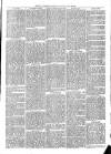 Exmouth Journal Saturday 23 April 1870 Page 3