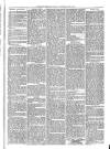 Exmouth Journal Saturday 04 June 1870 Page 3