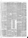 Exmouth Journal Saturday 18 June 1870 Page 3