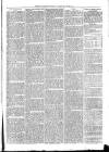 Exmouth Journal Saturday 25 June 1870 Page 7