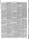 Exmouth Journal Saturday 30 July 1870 Page 3