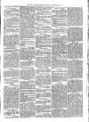 Exmouth Journal Saturday 05 November 1870 Page 3