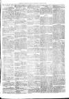 Exmouth Journal Saturday 04 February 1871 Page 3