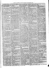 Exmouth Journal Saturday 18 November 1871 Page 3