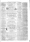 Exmouth Journal Saturday 18 November 1871 Page 5