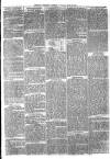 Exmouth Journal Saturday 15 June 1872 Page 3