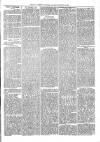 Exmouth Journal Saturday 25 January 1873 Page 3