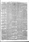 Exmouth Journal Saturday 01 February 1873 Page 3