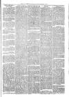 Exmouth Journal Saturday 08 February 1873 Page 3