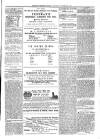 Exmouth Journal Saturday 29 November 1873 Page 5