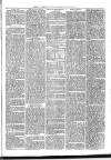 Exmouth Journal Saturday 13 December 1873 Page 7