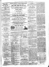 Exmouth Journal Saturday 10 January 1874 Page 5