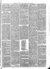Exmouth Journal Saturday 21 February 1874 Page 3