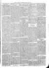 Exmouth Journal Saturday 21 March 1874 Page 3