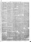 Exmouth Journal Saturday 18 April 1874 Page 3