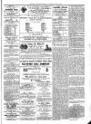 Exmouth Journal Saturday 23 May 1874 Page 5