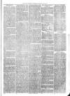 Exmouth Journal Saturday 23 May 1874 Page 7
