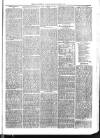 Exmouth Journal Saturday 06 June 1874 Page 7