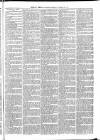 Exmouth Journal Saturday 31 October 1874 Page 3