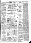 Exmouth Journal Saturday 02 January 1875 Page 5
