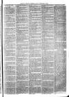 Exmouth Journal Saturday 13 February 1875 Page 3