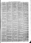 Exmouth Journal Saturday 20 March 1875 Page 3
